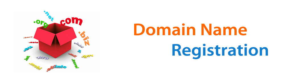 domain name registration